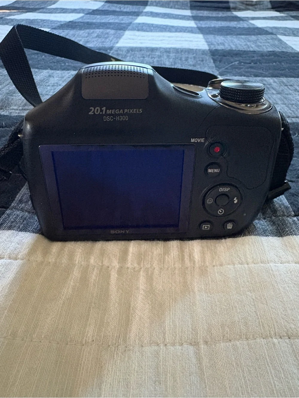 Sony Black Bridge Camera with LCD Display